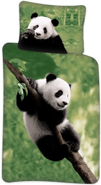 Panda Junior-Bettwäsche 100 x 140 cm - Panda-Bettwäsche-Set für Junioren - 100 % Baumwolle