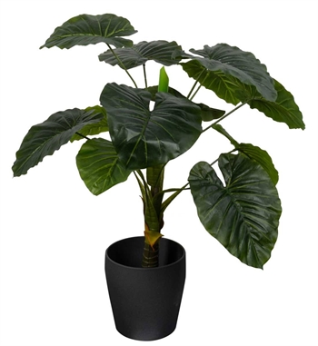 Künstliche Alocasia Odora Pflanze - Höhe 90 cm - 1 Stamm mit grünen Blättern - Künstliche Bodenpflanze