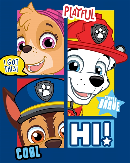 Kinderdecke - Paw Patrol und seine Welpenfreunde - 100x140 cm - weiche Fleecedecke - Borg Living