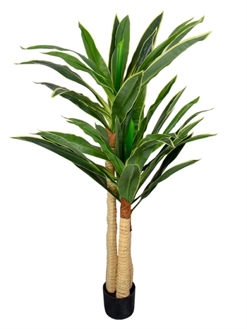 Künstliche Dracena-Pflanze - Höhe 170 cm - Lange schöne Blätter - Künstliche Bodenpflanze