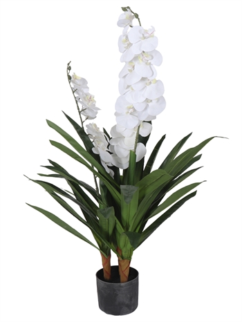 Künstliche Orchidee - 90 cm - 2-zweigig - Weiße Blüten - Künstliche Blume im schwarzen Topf