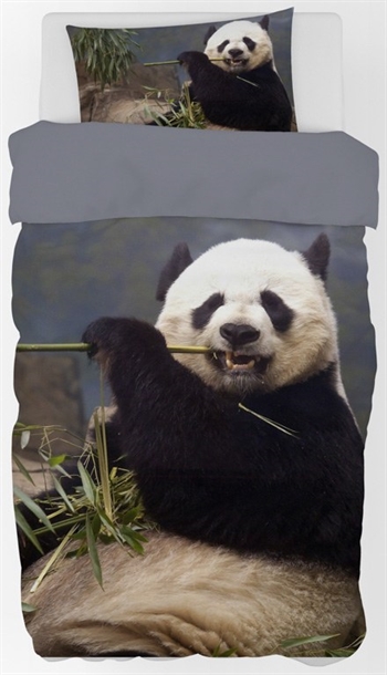 Panda Bettwäsche - 140x200 cm - Großer und süßer Pandabär - 100 % Baumwolle