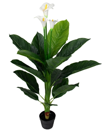 Künstliche Pflanze - Höhe 120 cm - Dekorative Calla mit 3 wunderschönen weißen Blüten