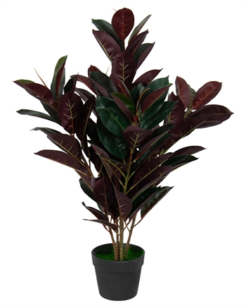 Künstliche Gummipflanze 80 cm Höhe - Ficus Elastica mit rötlichen Blättern